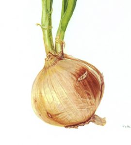 Brandi Malarkey, Artist. ItsAllMalarkey.com