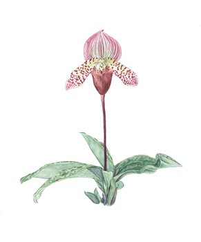 Brandi Malarkey, Artist. ItsAllMalarkey.com