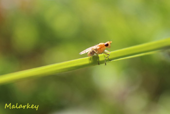 Taken near Lake Superior in Grand Marais, MN