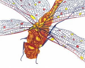 Brandi Malarkey, Artist. ItsAllMalarkey.com 8x10