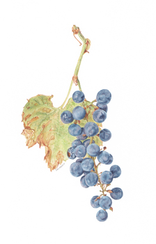 Brandi Malarkey, Artist. ItsAllMalarkey.com