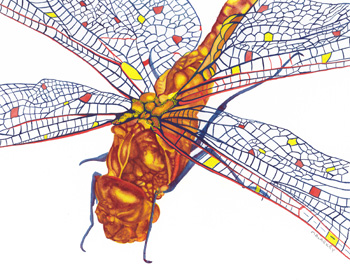 Brandi Malarkey, artist. ItsAllMalarkey.com