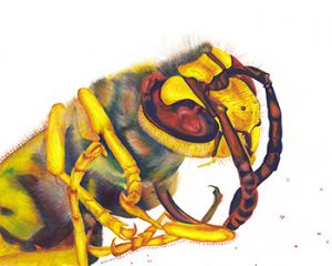 Brandi Malarkey, Artist. ItsAllMalarkey.com