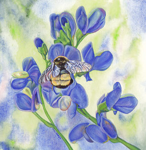 Summoning Spring. Watercolor and gouache on paper. 14x18. Brandi Malarkey, ItsAllMalarkey.com