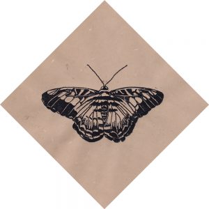 Thermography 6x6 Brandi Malarkey, Artist. ItsAllMalarkey.com