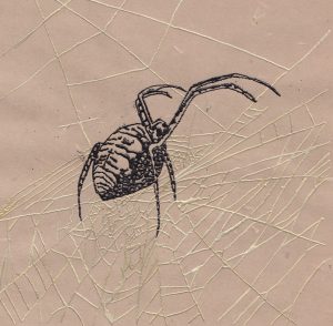 Garden Spider 1. Thermography 6x6 Brandi Malarkey, Artist. ItsAllMalarkey.com