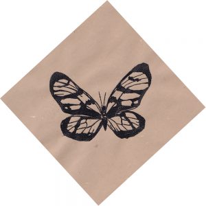 Lycorea ilione. Thermography 9x9 Brandi Malarkey, Artist. ItsAllMalarkey.com