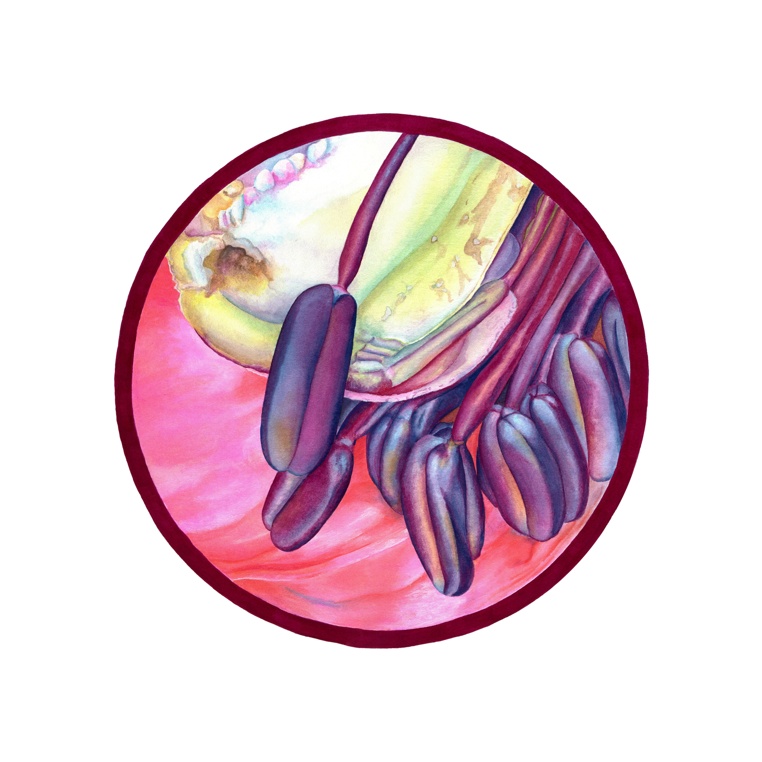 Inside Out Collection Poppy Gouache 15x15 Brandi Malarkey, artist. ItsAllMalarkey.com