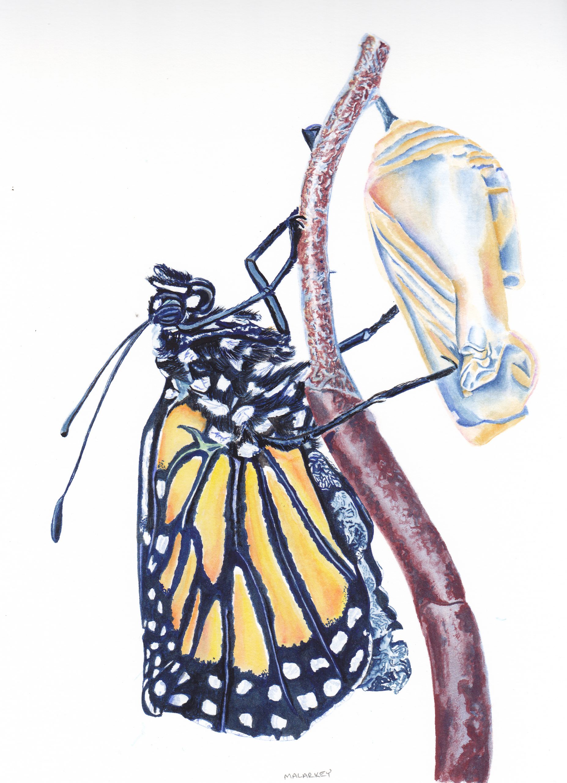 Emerge. Gouache 7.5x10.5 Brandi Malarkey, Artist. ItsAllMalarkey.com