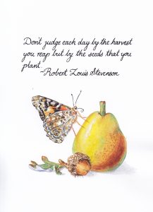 Seeds That You Plant. Calligraphy & Gouache 4x6 Brandi Malarkey, artist. Itsallmalarkey.com