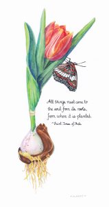 Roots. Calligraphy & Gouache 5.5×10.5 Brandi Malarkey, artist. ItsAllMalarkey.com