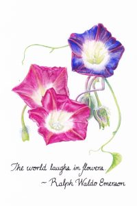 Laughs. Calligraphy & Gouache 4×6 Brandi Malarkey, artist. ItsAllMalarkey.com