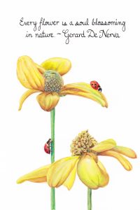 Soul blossoming. Calligraphy & Gouache 4×6 Brandi Malarkey, artist. ItsAllMalarkey.com