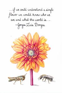 Single Flower. Calligraphy & Gouache 4×6 Brandi Malarkey, artist. ItsAllMalarkey.com