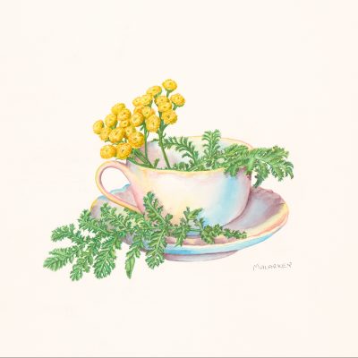 21640 Brandi Malarkey