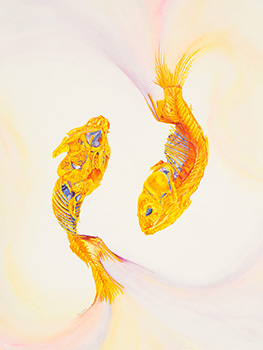 Pisces. Gouache on paper. 14x18. Brandi Malarkey, ItsAllMalarkey.com