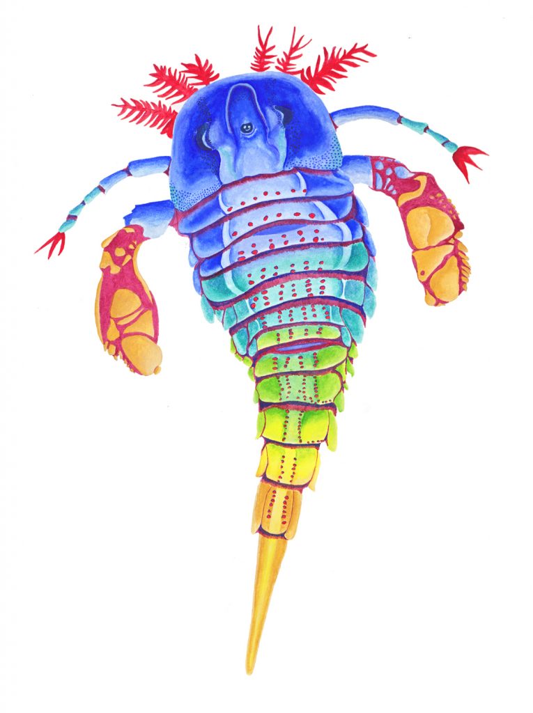 Eurypterid. "Sea Scorpion". Gouache on paper. 12.5x18 Brandi Malarkey, artist. ItsAllMalarkey.com